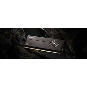 Team Group T-Force XTREEM DDR5 8000MHz 2x24GB (FFXD548G8000HC38EDC01)