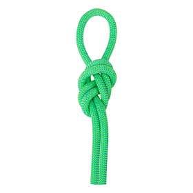 Salewa Speed Queen 9.1mm Rope Grönt 70 m