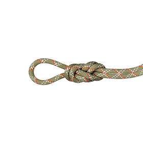 Mammut Gym Classic 9.5mm Rope Green 50 m
