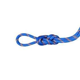 Mammut Alpine Sender Dry 9.0mm Rope Blå 60 m