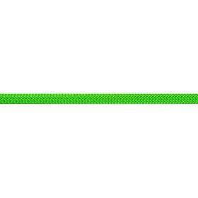 Beal Virus 10mm Rope Grönt 80 m