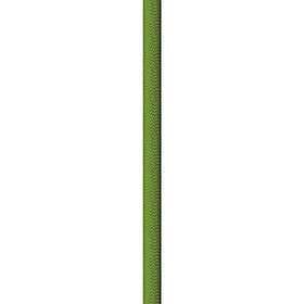 Beal Wall School 10.2mm Rope Grönt 200 m