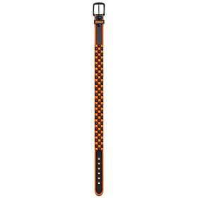 Amplifi Stud Team Belt Orange M Man