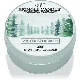 Kringle Candle Winter Evergreen Tealights 42g