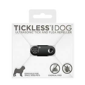 Tickless Mini Dog