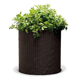 Keter Kruka rund Rattan 36 x 37.3 cm