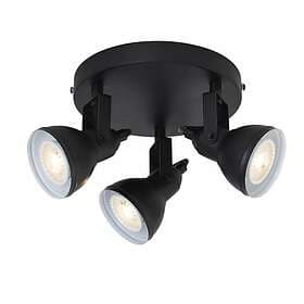 Searchlight Focus spotlight (Black)