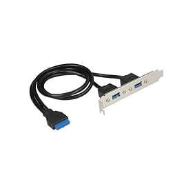 DeLock Slot bracket USB-panel