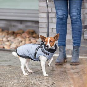 Trixie Pontis Hundtäcke med Sele Grå