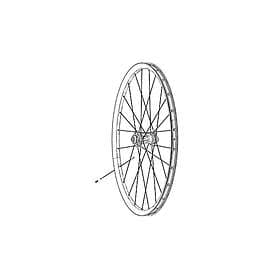 Zipp Cx Ray Spokes 3 Units 286 mm
