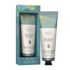 Scottish Fine Soaps Sea Kelp Marine Spa Hand & Nail Cream 75ml
