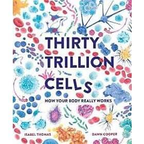 Thirty Trillion Cells