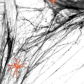 Henbrandt Spider Web Black with Spiders