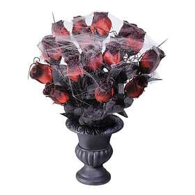 Red Roses with Spiderweb