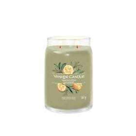 Yankee Candle Sage & Citrus Large Jar 2 Wick 567g