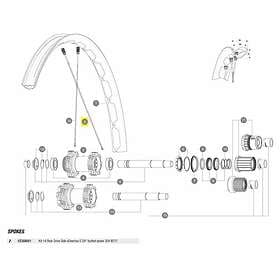 Mavic Kit 14 Rear Drive Side Edeemax S 29´´ Spokes Durchsichtig 306 mm