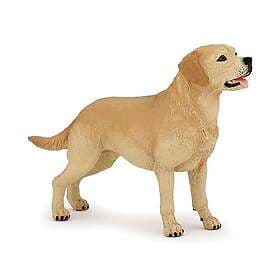 Hund Labrador Papo