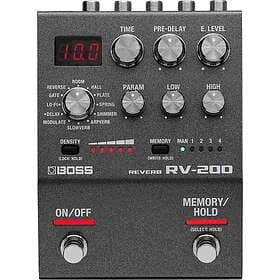 Boss by Roland RV200