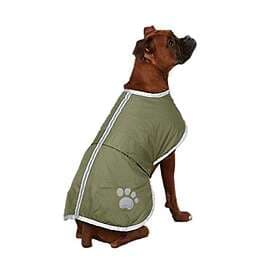 Zack & Zoey Polyester Nor'easter hundfilt kappa, Medium, Chive