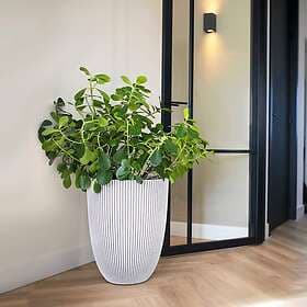 vidaXL Capi Kruka Groove 34 x 46 cm Ivory 445498
