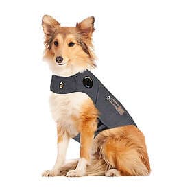 Thundershirt till Hund
