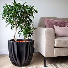 vidaXL Capi Kruka Groove 43x41 cm svart 445489