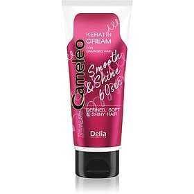 Delia Cosmetics Cameleo Smooth & Shine 60 sec Hårkräm för glansigt och mjukt hår