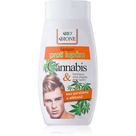 Bione Cosmetics Cannabis Schampo mot mjäll för män 260ml male