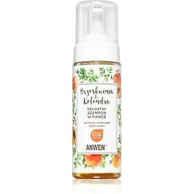 Anwen Peach Coriander Foam Shampoo Moisturizing Dry Sensitive Scalp 170ml