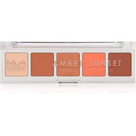 MUA Makeup Academy Professional 5 Shade Palette