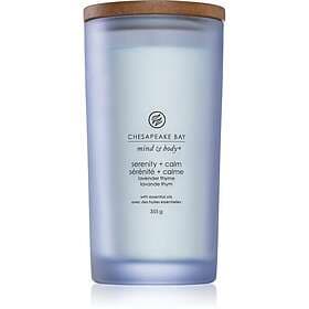 Chesapeake Bay Candle Mind & Body Serenity Calm Scented Candle 355g