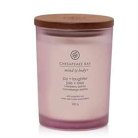 Chesapeake Bay Candle Mind & Body Joy Laughter Scented Candle 250g