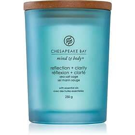 Chesapeake Bay Candle Mind & Body Reflection Clarity Scented Candle 250g