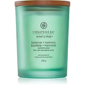 Chesapeake Bay Candle Mind & Body Balance Harmony Scented Candle 250g