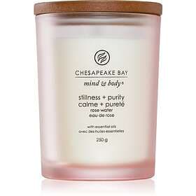 Chesapeake Bay Candle Mind & Body Stillness Purity Scented Candle 250g