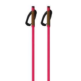 Fischer Storm Gtx Poles