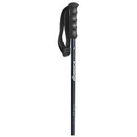 Nordica Alpine Ti Poles Woman