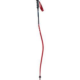 Swix World Cup Pro Dh Carbon Alpine Poles
