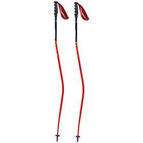 Swix World Cup Pro Donwhill Poles