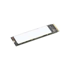 Lenovo 4XB1M86955 1TB