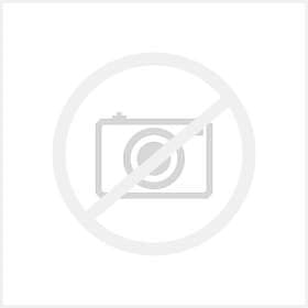 WD Blue SA510 SATA SSD BB8H5000ANC-WRSN 500GB