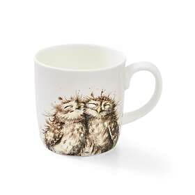 Royal Worcester The Twits Mug 40cl