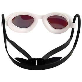 Arena 365 Swimming Goggles