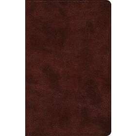 ESV Large Print Thinline Bible