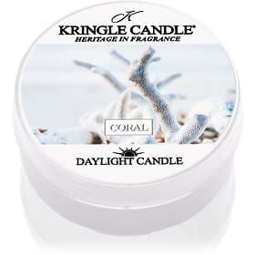 Kringle Candle Coral Tealights 42g