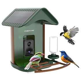 Camouflage EZ Birdfeed 1