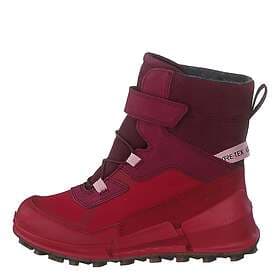 Ecco Biom K2 (Jr)