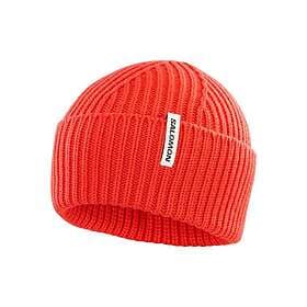 Salomon Snowbird Beanie