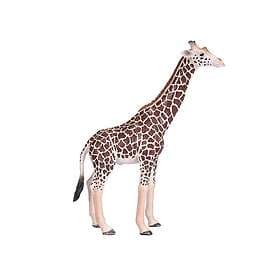 Mojo Wildlife Giraffe Male 381008