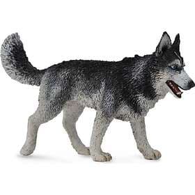 Collecta Kakor Racy Siberian Husky (004-88707)